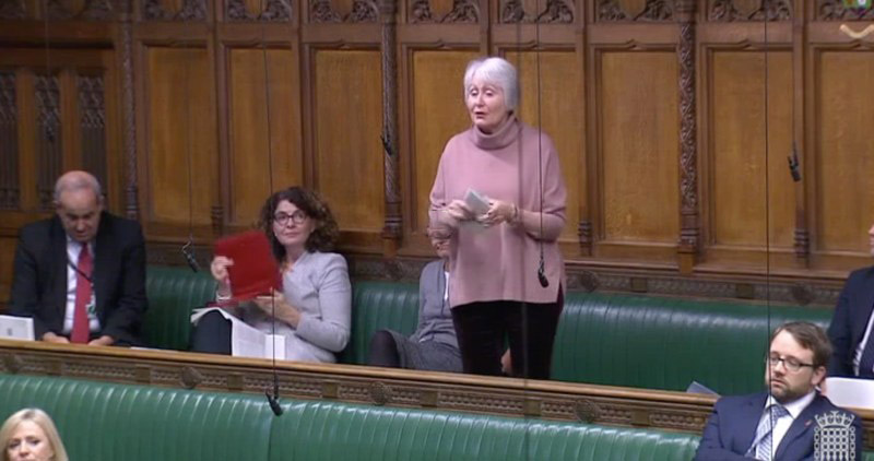 Madeleine Moon MP presents the case for a discussion of Automated Gate Safety in Parliament