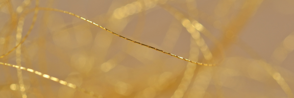Golden thread - Gate Safety